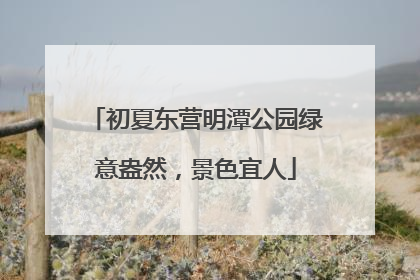 初夏东营明潭公园绿意盎然，景色宜人