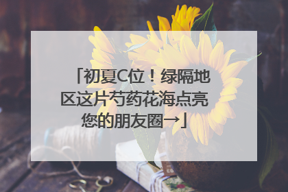 初夏C位！绿隔地区这片芍药花海点亮您的朋友圈→