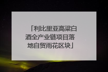 利比里亚高粱白酒全产业链项目落地自贸雨花区块