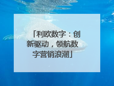 利欧数字：创新驱动，领航数字营销浪潮