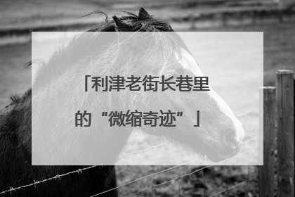 利津老街长巷里的“微缩奇迹”