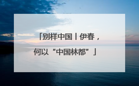别样中国丨伊春，何以“中国林都”