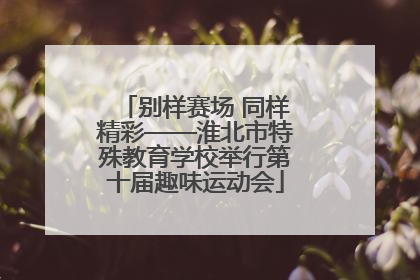 别样赛场 同样精彩——淮北市特殊教育学校举行第十届趣味运动会