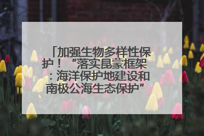 加强生物多样性保护！“落实昆蒙框架：海洋保护地建设和南极公海生态保护”主题论坛将举办