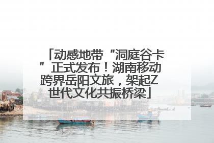动感地带“洞庭谷卡”正式发布！湖南移动跨界岳阳文旅，架起Z世代文化共振桥梁