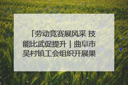 劳动竞赛展风采 技能比武促提升｜曲阜市吴村镇工会组织开展果树套袋技能竞赛