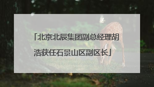 北京北辰集团副总经理胡浩获任石景山区副区长