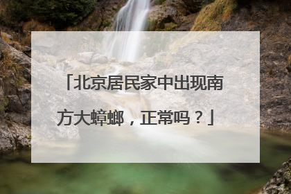 北京居民家中出现南方大蟑螂，正常吗？