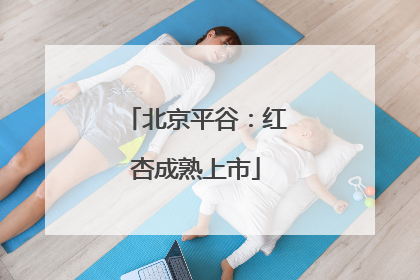 北京平谷：红杏成熟上市