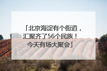 北京海淀有个街道，汇聚齐了56个民族！今天有场大聚会