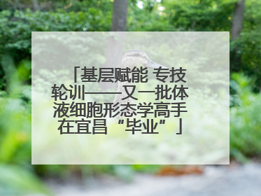 基层赋能 专技轮训——又一批体液细胞形态学高手在宜昌“毕业”
