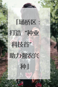埇桥区：打造“种业科技谷” 助力强农兴种
