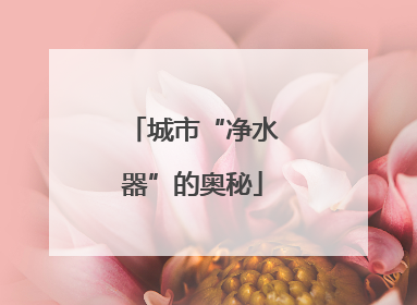 城市“净水器”的奥秘