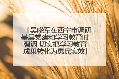 吴晓军在西宁市调研基层党建和学习教育时强调 切实把学习教育成果转化为惠民实效