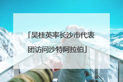 吴桂英率长沙市代表团访问沙特阿拉伯