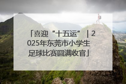 喜迎“十五运”｜2025年东莞市小学生足球比赛圆满收官