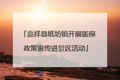 嘉祥县纸坊镇开展医保政策宣传进景区活动