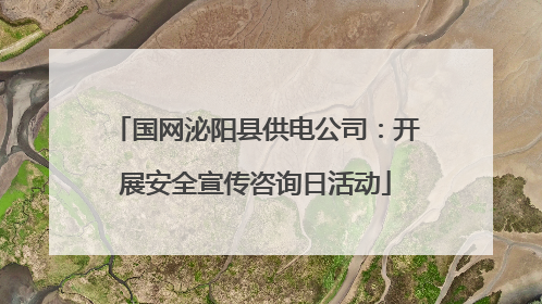 国网泌阳县供电公司：开展安全宣传咨询日活动