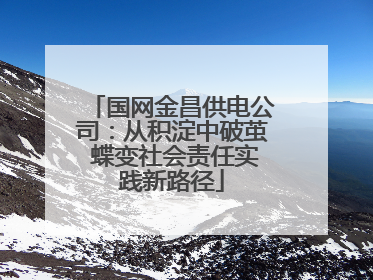 国网金昌供电公司：从积淀中破茧 蝶变社会责任实践新路径