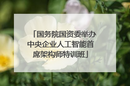国务院国资委举办中央企业人工智能首席架构师特训班