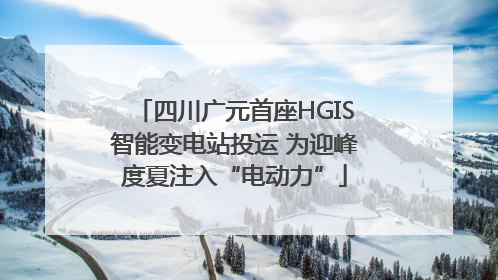 四川广元首座HGIS智能变电站投运 为迎峰度夏注入“电动力”
