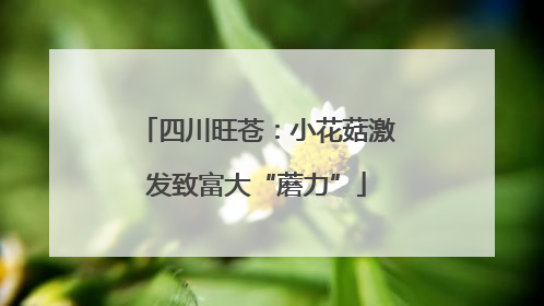 四川旺苍：小花菇激发致富大“蘑力”