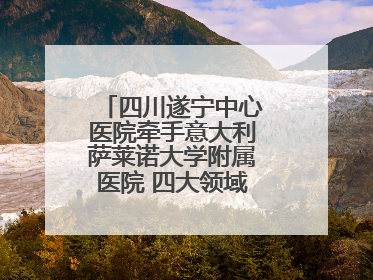 四川遂宁中心医院牵手意大利萨莱诺大学附属医院 四大领域开展全面合作