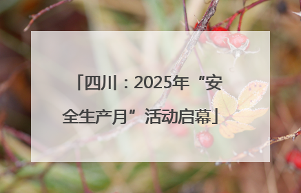 四川：2025年“安全生产月”活动启幕