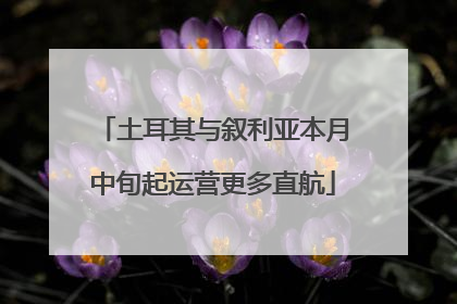 土耳其与叙利亚本月中旬起运营更多直航