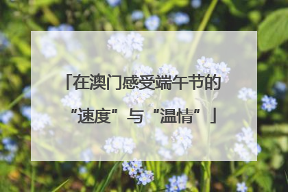 在澳门感受端午节的“速度”与“温情”