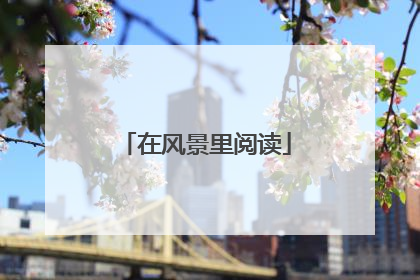 在风景里阅读