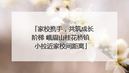 家校携手，共筑成长阶梯 峨眉山桂花桥镇小拉近家校间距离