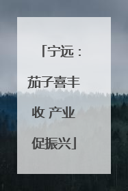 宁远：茄子喜丰收 产业促振兴