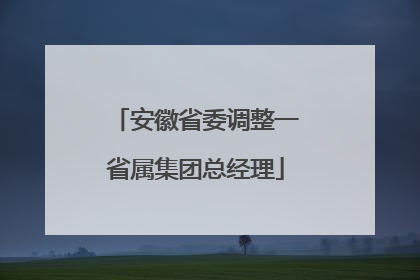 安徽省委调整一省属集团总经理