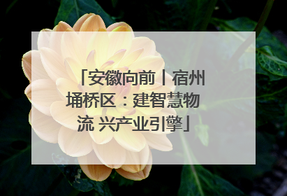 安徽向前丨宿州埇桥区：建智慧物流 兴产业引擎