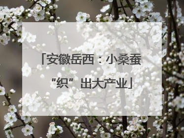 安徽岳西：小桑蚕“织”出大产业