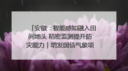 安徽：智能感知融入田间地头 精密监测提升防灾能力｜增发国债气象项目落地见效系列报道