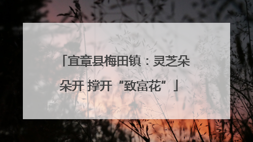 宜章县梅田镇：灵芝朵朵开 撑开“致富花”