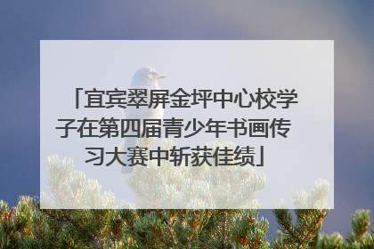 宜宾翠屏金坪中心校学子在第四届青少年书画传习大赛中斩获佳绩