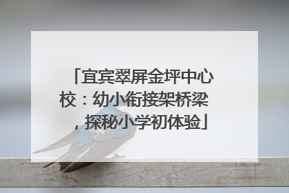 宜宾翠屏金坪中心校：幼小衔接架桥梁，探秘小学初体验