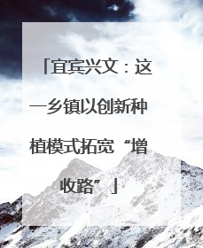 宜宾兴文：这一乡镇以创新种植模式拓宽“增收路”