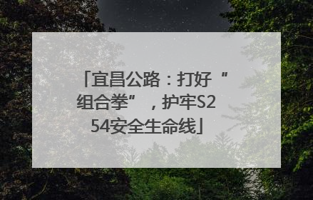 宜昌公路：打好“组合拳”，护牢S254安全生命线