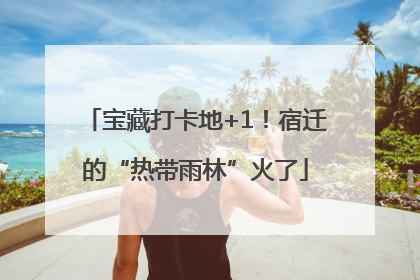 宝藏打卡地+1！宿迁的“热带雨林”火了