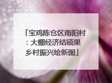 宝鸡陈仓区南阳村：大棚经济结硕果 乡村振兴绘新图