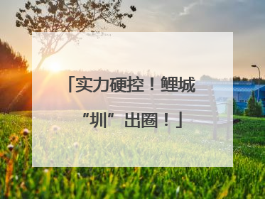 实力硬控！鲤城“圳”出圈！