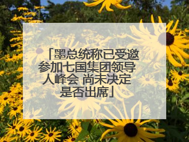 墨总统称已受邀参加七国集团领导人峰会 尚未决定是否出席