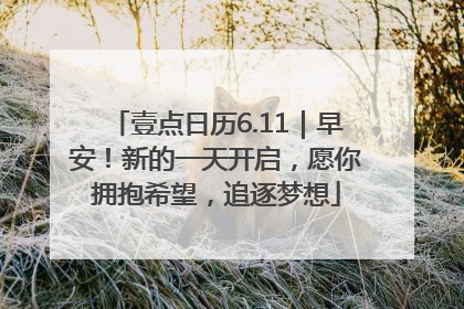 壹点日历6.11｜早安！新的一天开启，愿你拥抱希望，追逐梦想