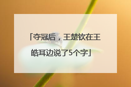 夺冠后，王楚钦在王皓耳边说了5个字