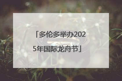 多伦多举办2025年国际龙舟节