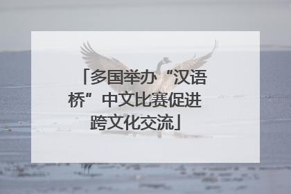 多国举办“汉语桥”中文比赛促进跨文化交流
